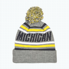 NCAA Hat_Michigan