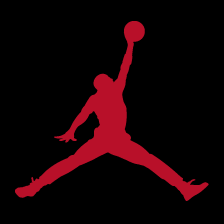 Air Jordan Retro II