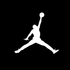 jordan logo 224