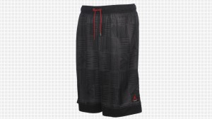 jordan brand basketball shorts