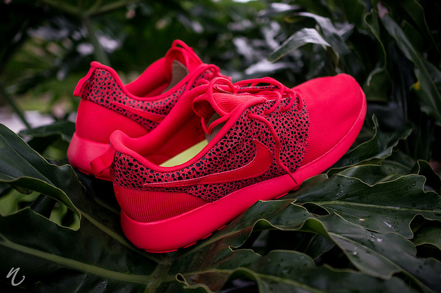 best roshe runs