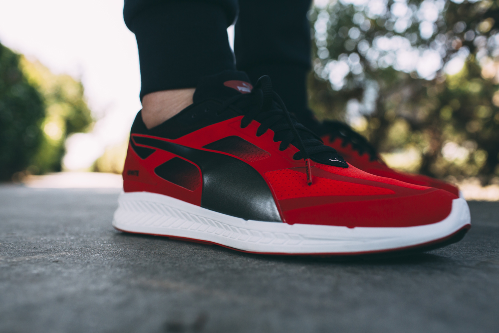ignite puma running ignite puma running
