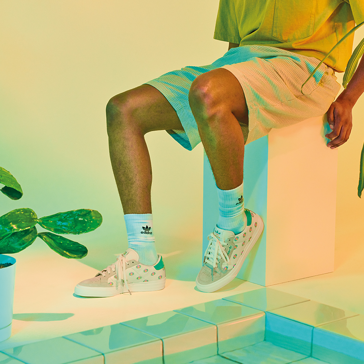 adidas continental 80 arizona green tea