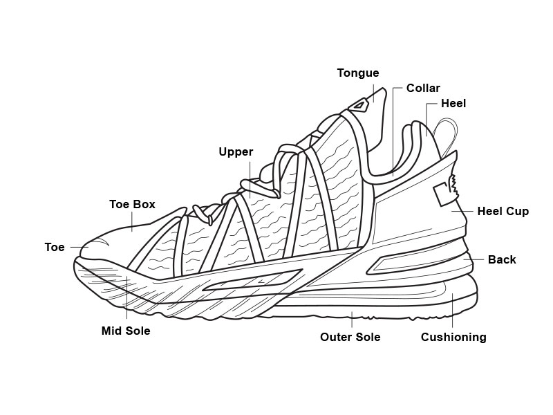 The Anatomy of a basketball shoe diagram